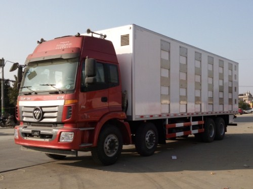 福田歐曼不銹鋼豬仔畜禽運輸車