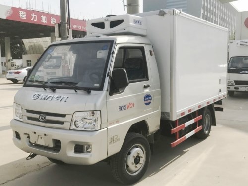 廂長(zhǎng)2.9米福田馭菱后雙輪