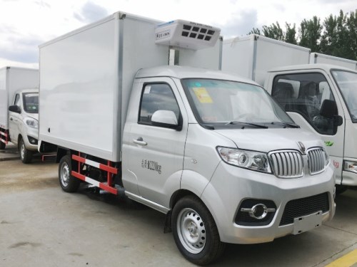 廂長2.9米金杯小型冷藏車