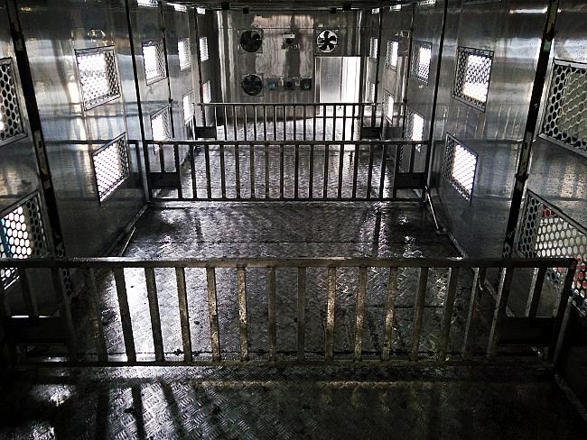 福田歐曼前四后八豬仔畜禽運輸車