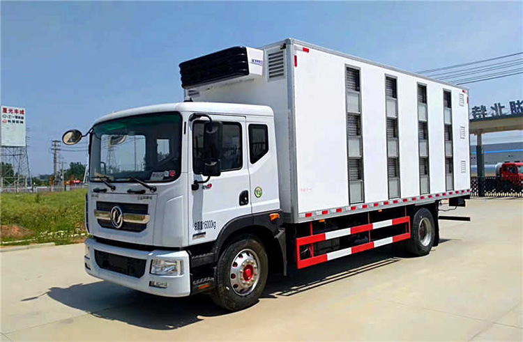 國六東風D9雛禽運輸車